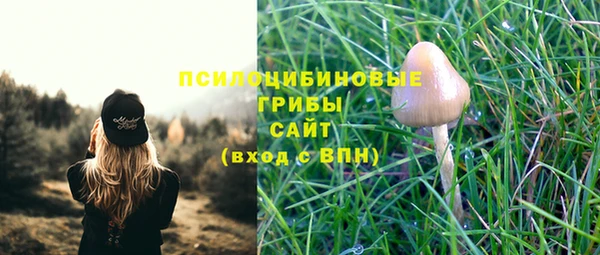 ешки Пестово
