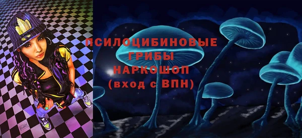 apvp Осташков